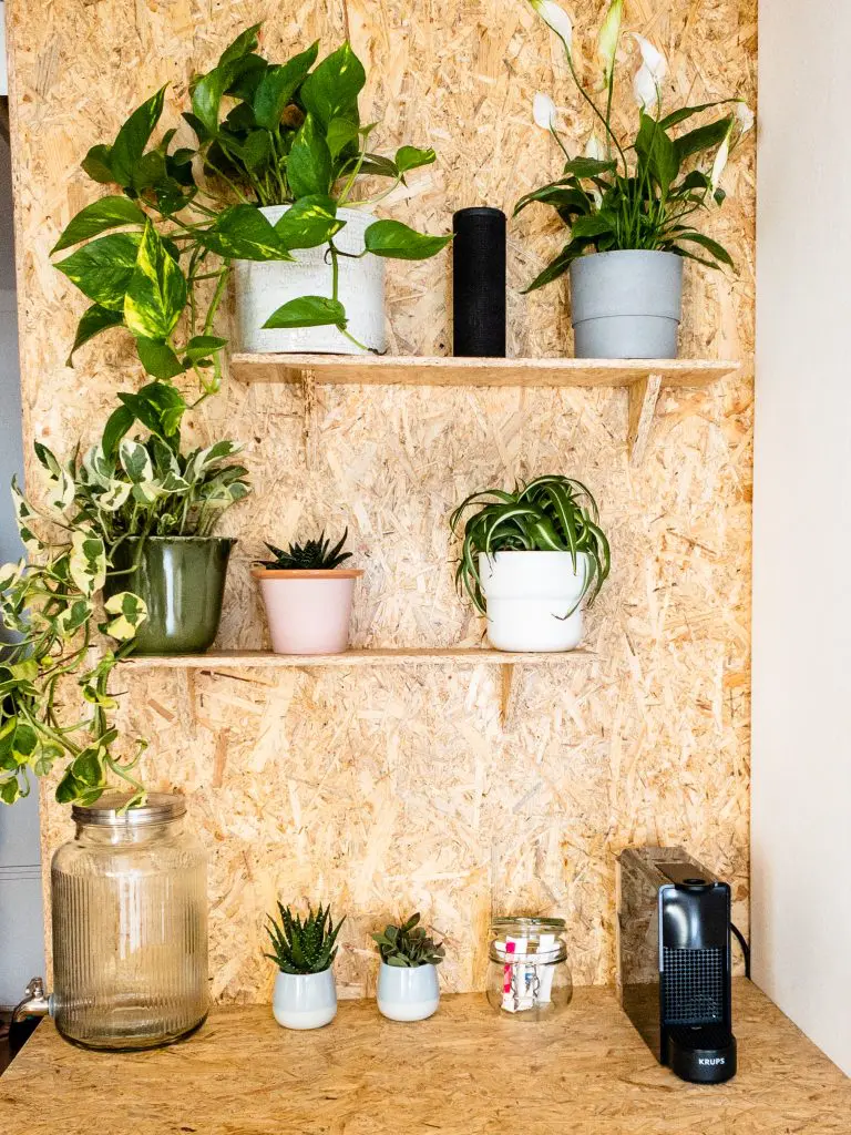 Cocina con cafetera y nevera