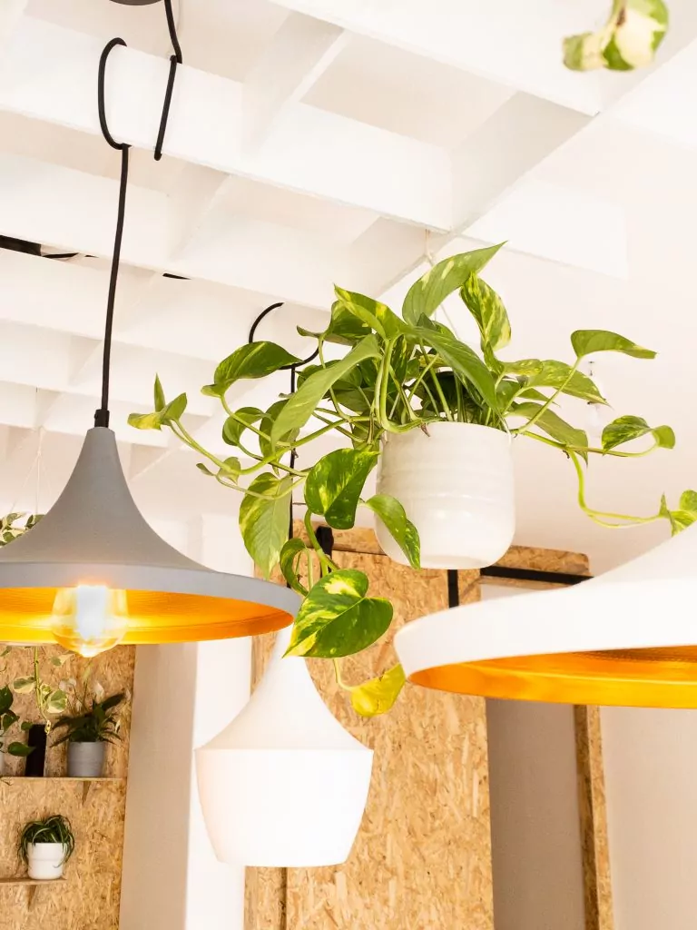 Luz personalizada en el coworking de Portimao