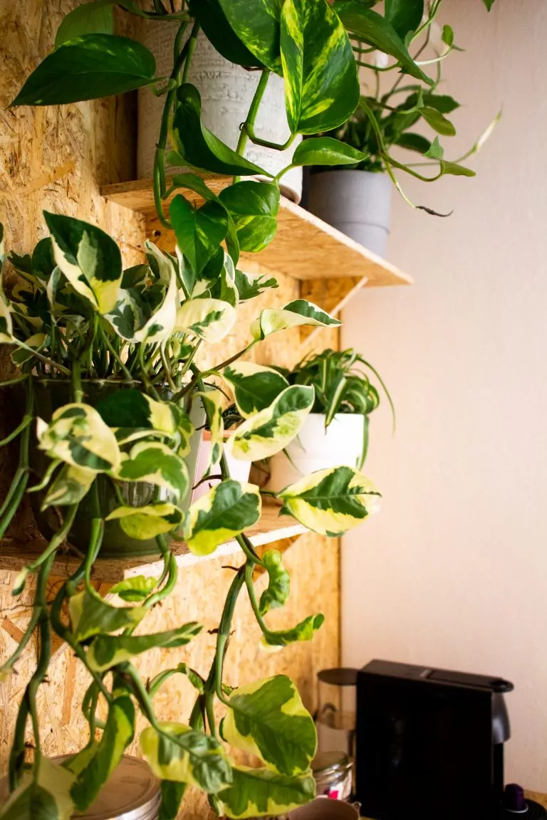 Ambiente luminoso y aireado