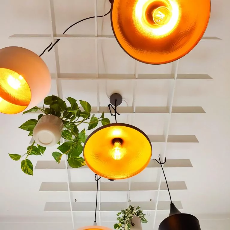 característica de la luz