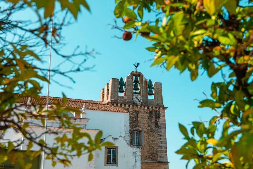 Image of Cathedral of Faro tower, surrounded by trees