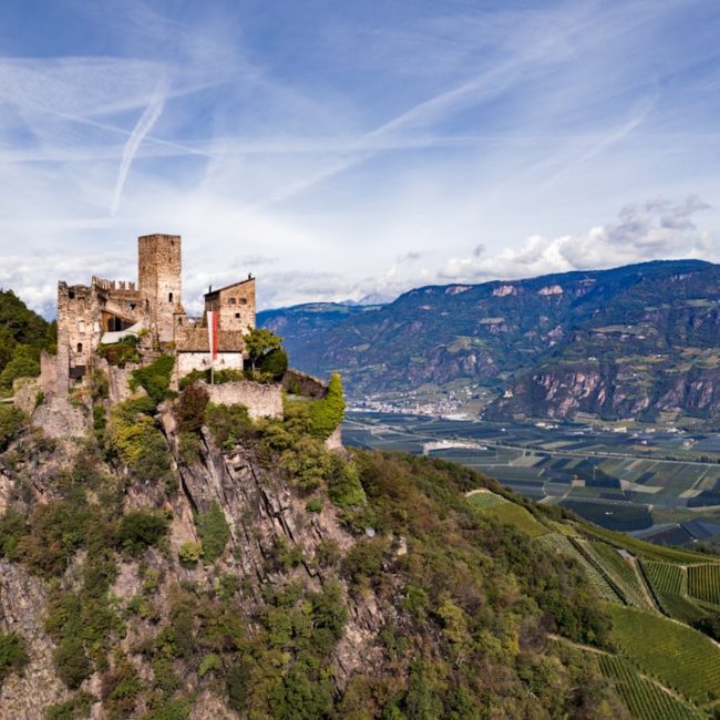 Foto Paesaggio del vigneto